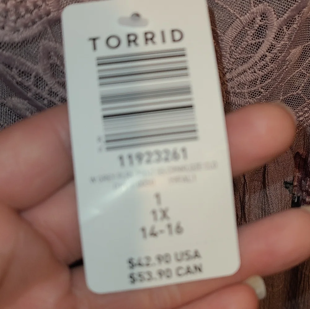 Torrid - Picture 3 of 3